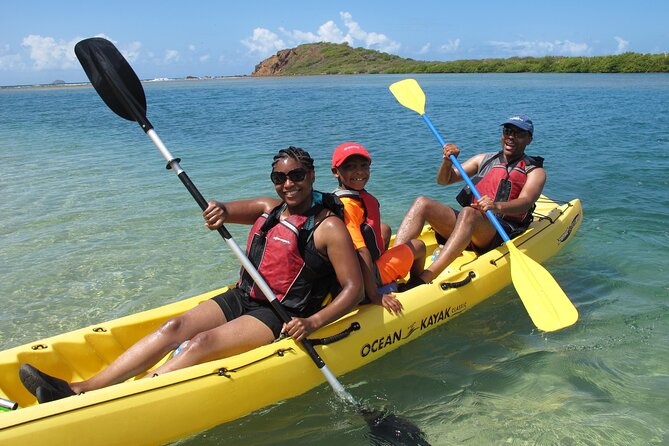 Cas Cay - Kayak Hike and Snorkel Adventure - Snorkeling in the Mangroves: Stingrays, Coral Fringes, and Expectation Check