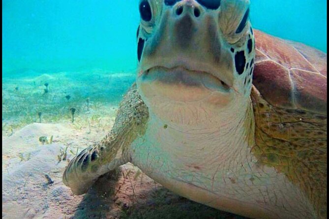 Cas Cay - Kayak Hike and Snorkel Adventure - Price and Logistics: The Value Check Before You Reserve