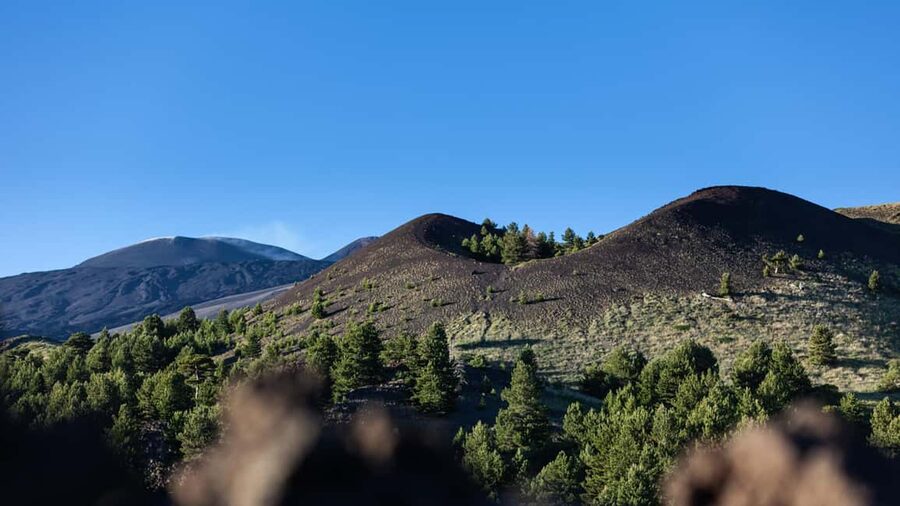 Catania: Etna Nature Tour with Hiking, Cave Visit, & Tasting - Price and value: what $45.55 covers, and what costs extra