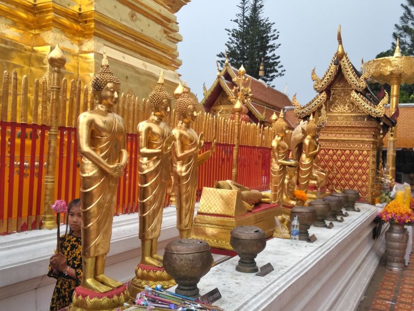 Chiang Mai: 7-Hour Doi Suthep National Park Summit Hiking - Guides Make the Difference on a Hard Trail