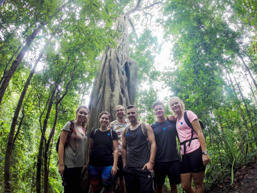 Chiang Mai: 7-Hour Doi Suthep National Park Summit Hiking - Why This 7-Hour Doi Suthep Hike Is More Than a Temple Visit