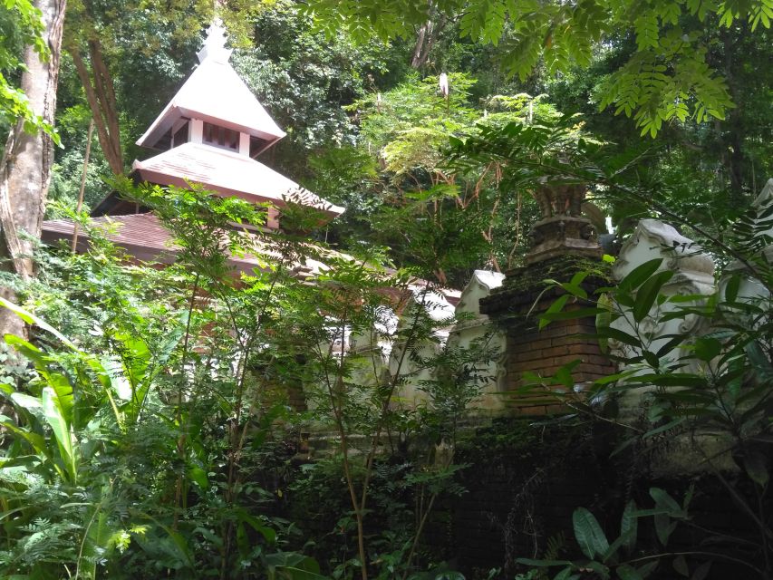 Chiang Mai: 7-Hour Doi Suthep National Park Summit Hiking - Wat Phra That Doi Suthep: Views, Temple Details, Then Back to Walking
