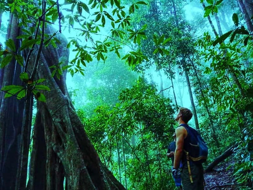 Chiang Mai: 7-Hour Doi Suthep National Park Summit Hiking - The Main Event: Doi Suthep-Pui National Park Jungle Trek