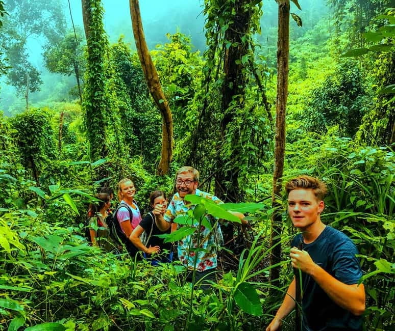 Chiang Mai: 7-Hour Doi Suthep National Park Summit Hiking - Lunch Timing Reality: It’s Included, But It’s a Late One