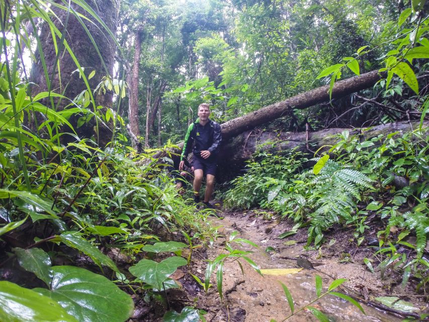 Chiang Mai: 7-Hour Doi Suthep National Park Summit Hiking - Hydration and Gear: How to Avoid the Common Mistakes