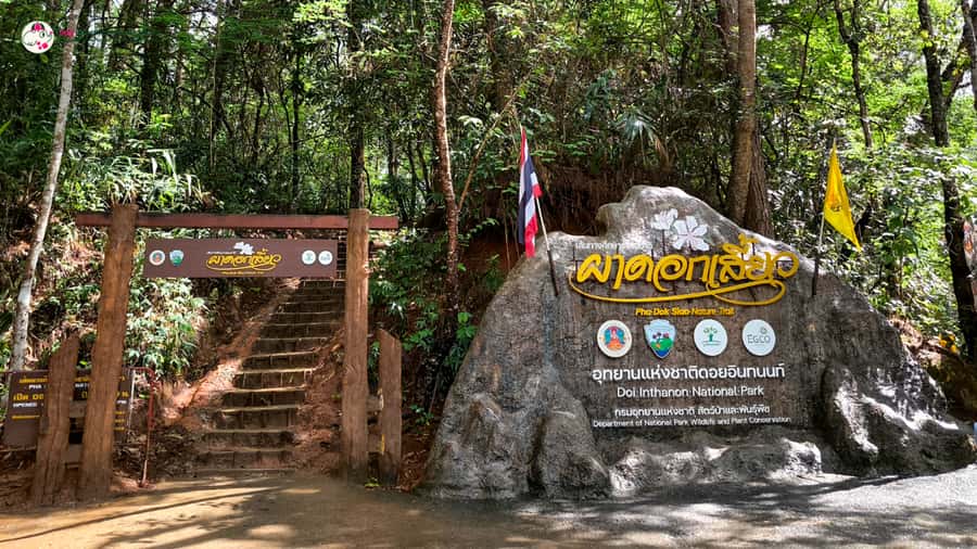 Chiang Mai: Doi Inthanon and Elephant Sanctuary Tour & Hike - The real appeal: two different kinds of magic in one day