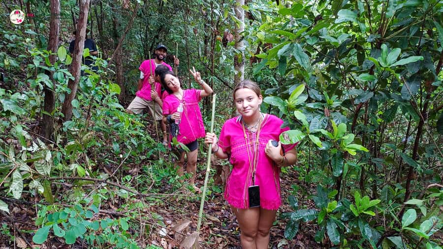 Chiang Mai: Doi Inthanon and Elephant Sanctuary Tour & Hike - Twin Pagodas and Phra Mahathat Naphamethanidon: royal memorials with real views