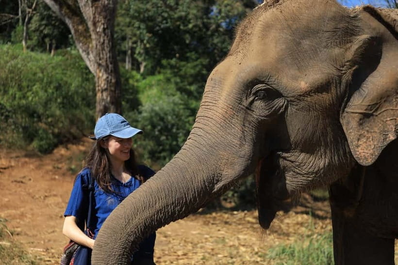 Chiang Mai: Doi Inthanon Hiking & Elephant Sanctuary Program - Key points before you go