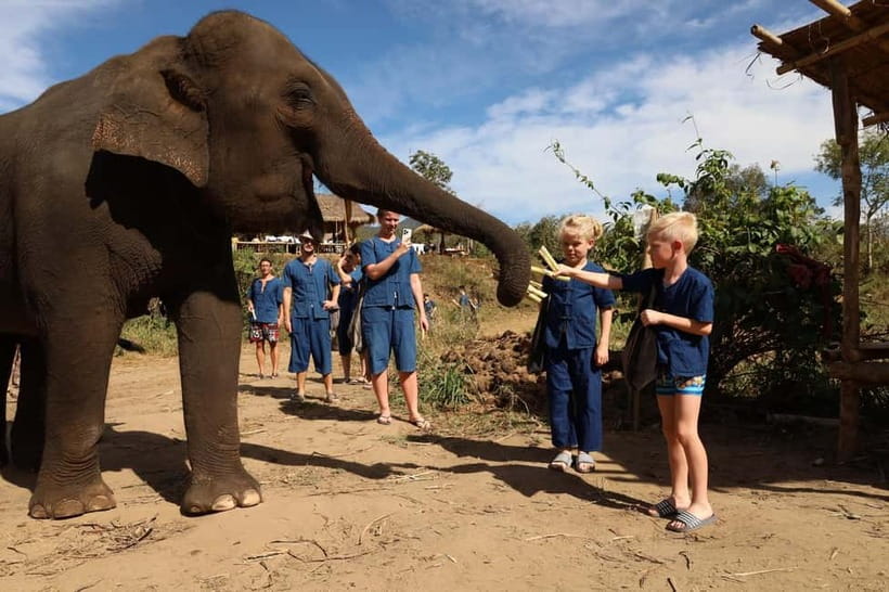 Chiang Mai: Doi Inthanon Hiking & Elephant Sanctuary Program - Living Green Elephant Sanctuary: feeding, walking, and mud-bath etiquette