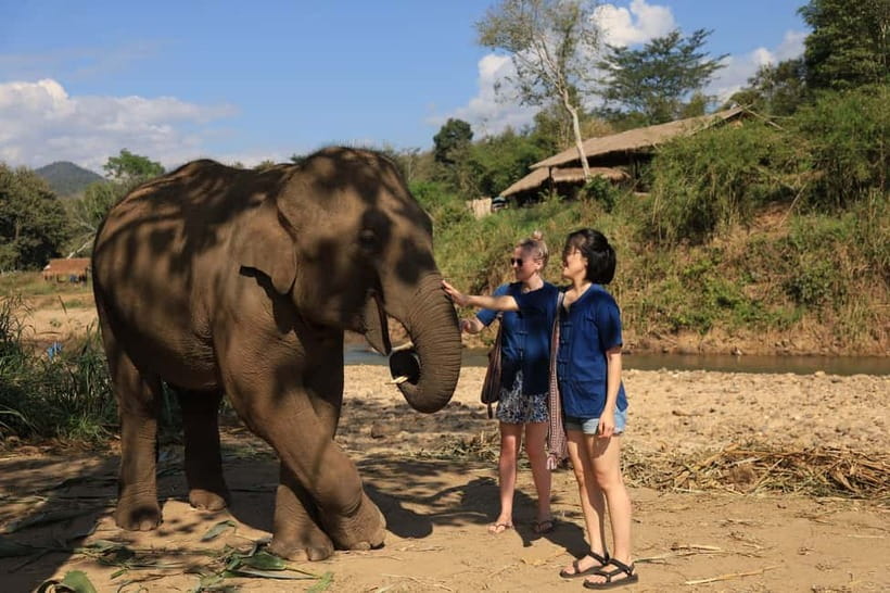 Chiang Mai: Doi Inthanon Hiking & Elephant Sanctuary Program - Pha Dok Siew nature trail: rice terraces, rare wildlife chances, and a waterfall pause