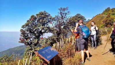 Chiang Mai:Doi Inthanon National Park & Hike at Kew Mae Pan - Hmong Hill Tribe Market and lunch stop: culture, shopping, and food timing