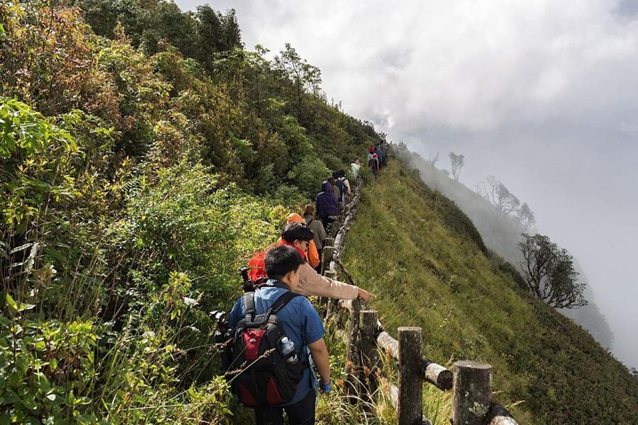 Chiang Mai: Doi Inthanon Park Day Trip with Kiw Mae Pan Hike - Guides Make the Difference: Paul OK-OK, Steve, and Goi