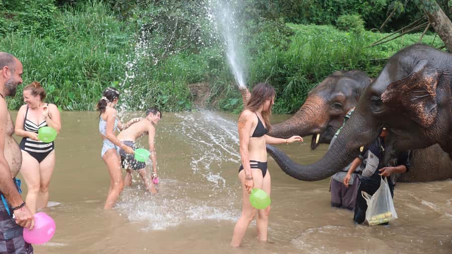 Chiang Mai: Doi Inthanon Park Hiking & Elephants Sanctuary - The trek at Pha Dok Siew: when the best views come with some effort