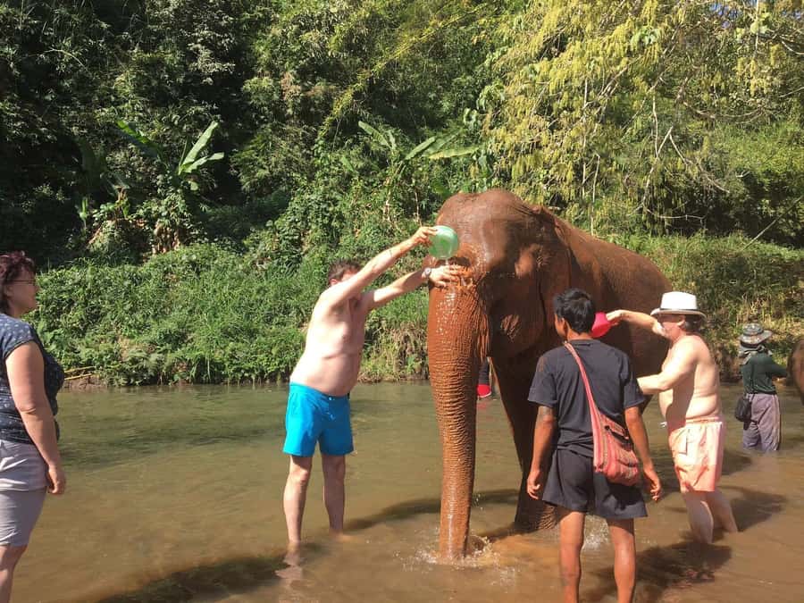Chiang Mai: Doi Inthanon Park Hiking & Elephants Sanctuary - Doi Inthanon’s highest point and the King and Queen Pagodas