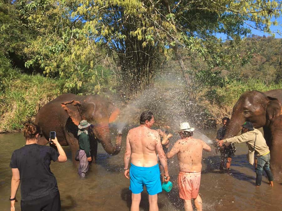 Chiang Mai: Doi Inthanon Park Hiking & Elephants Sanctuary - Lunch in the park: plan for filling, not fancy