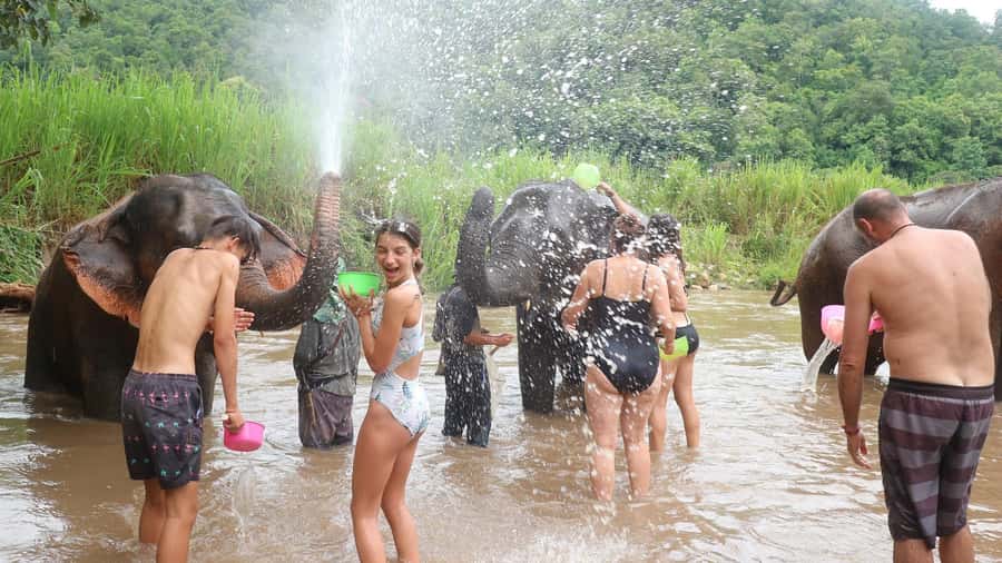 Chiang Mai: Doi Inthanon Park Hiking & Elephants Sanctuary - Baan Mae Klang Luang and mountain coffee that tastes like place