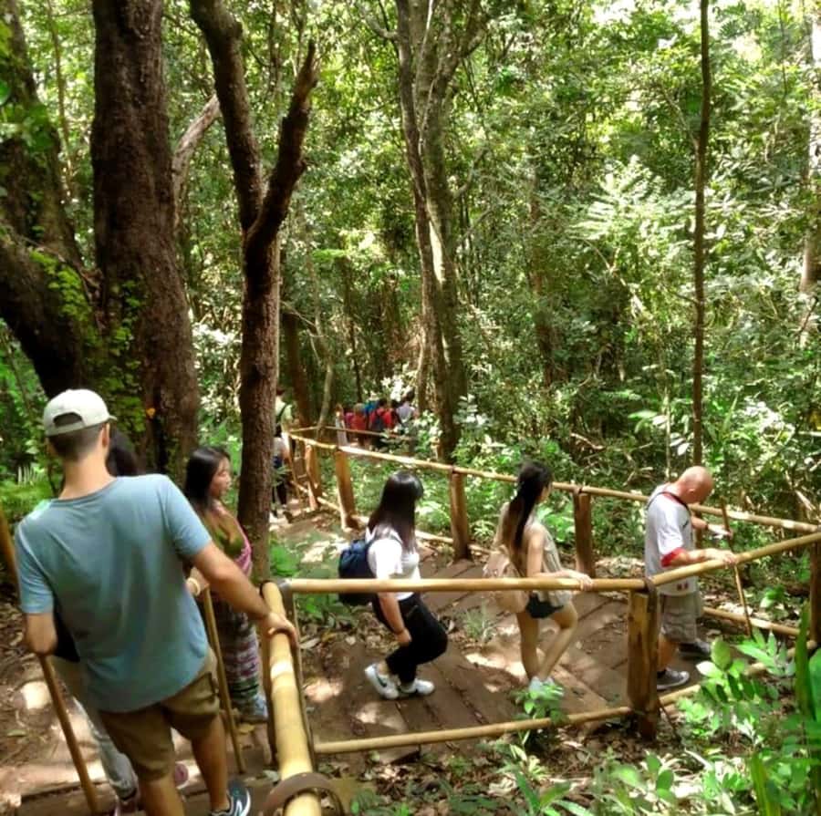 Chiang Mai: Doi Inthanon Park Hiking & Elephants Sanctuary - Small group touring: why a limit of 12 helps the day
