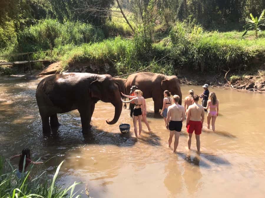Chiang Mai: Doi Inthanon Park Hiking & Elephants Sanctuary - What to bring so the trek feels manageable