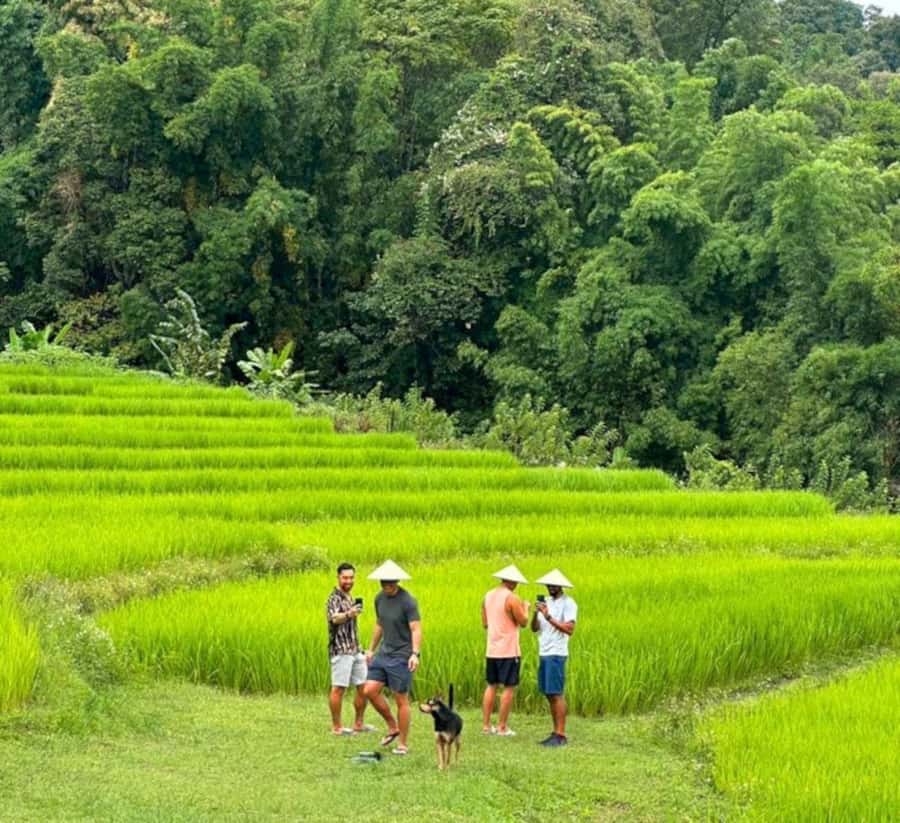 Chiang Mai: Doi Inthanon Park Hiking & Elephants Sanctuary - Ethical elephant sanctuary: what you’ll actually do (and what you won’t)