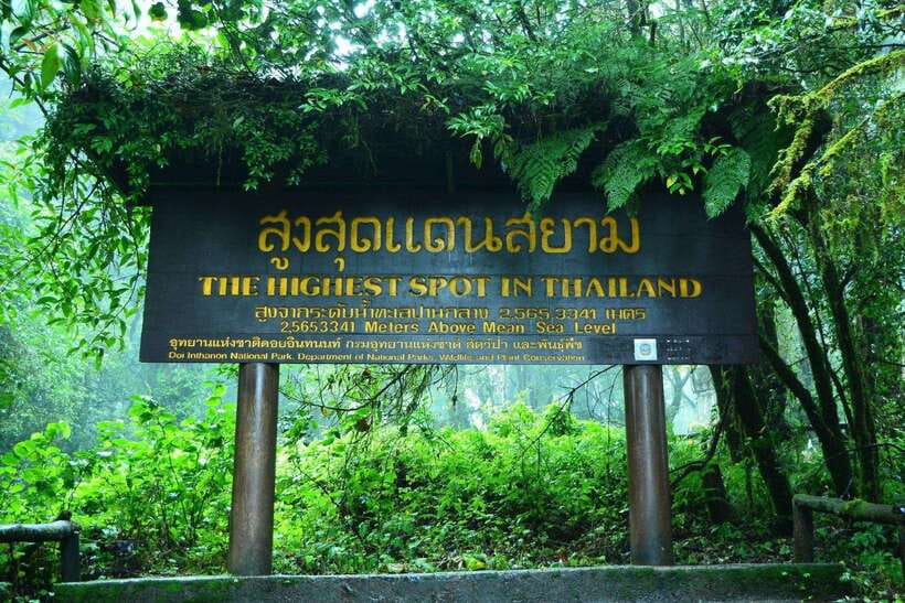 Chiang Mai: Doi Inthanon Park Tour & Kew Mae Pan Trail Hike - Price and what you actually get for around $51
