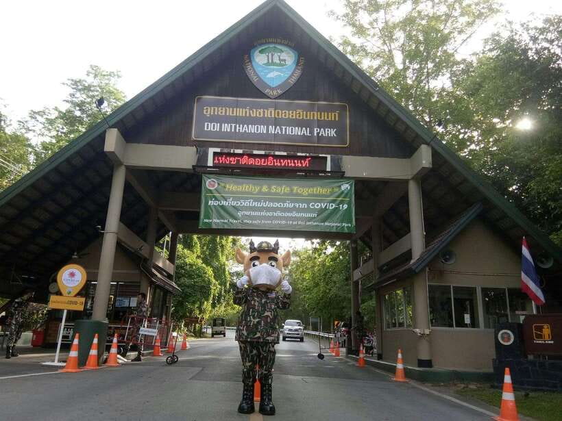 Chiang Mai: Doi Inthanon Park Tour & Kew Mae Pan Trail Hike - What to bring (and what not to bring) for comfort
