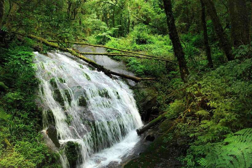 Chiang Mai: Doi Inthanon Park Tour & Kew Mae Pan Trail Hike - Who this tour suits best (and who should skip it)