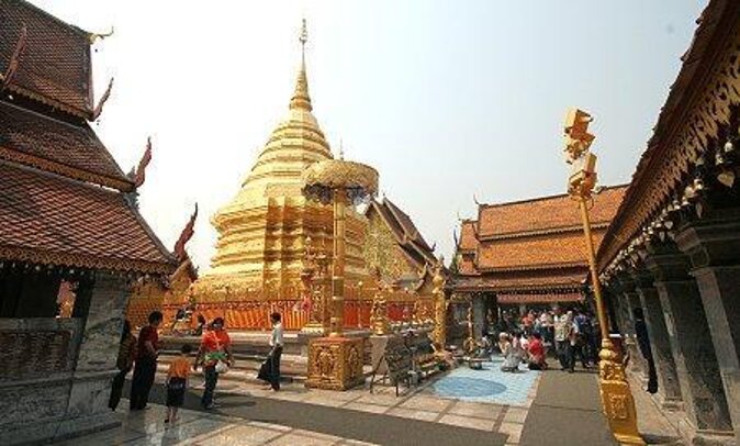 Chiang Mai - Doi Suthep Temple & Wat Pha Lat Hike - Key highlights you shouldn’t skip