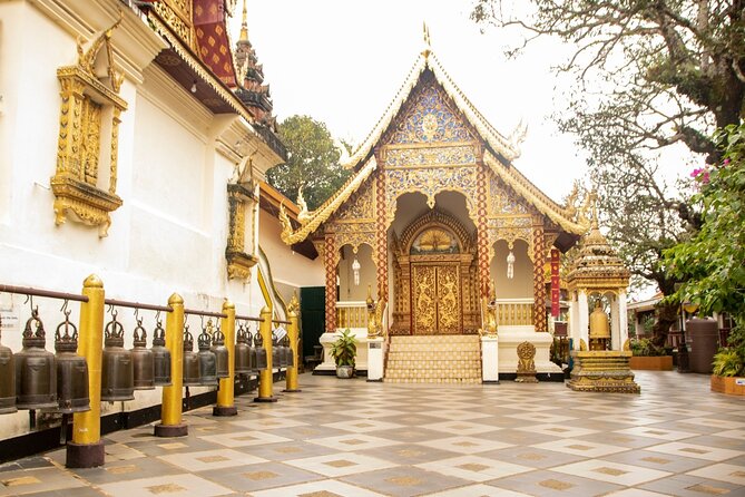 Chiang Mai - Doi Suthep Temple & Wat Pha Lat Hike - Who this tour suits best (and who should be cautious)