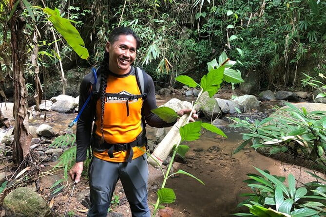 Chiang Mai: Inthanon, Elephant Sanctuary Observation & Waterfall - Doi Inthanon: Thailand’s highest peak and the Twin Royal Stupas