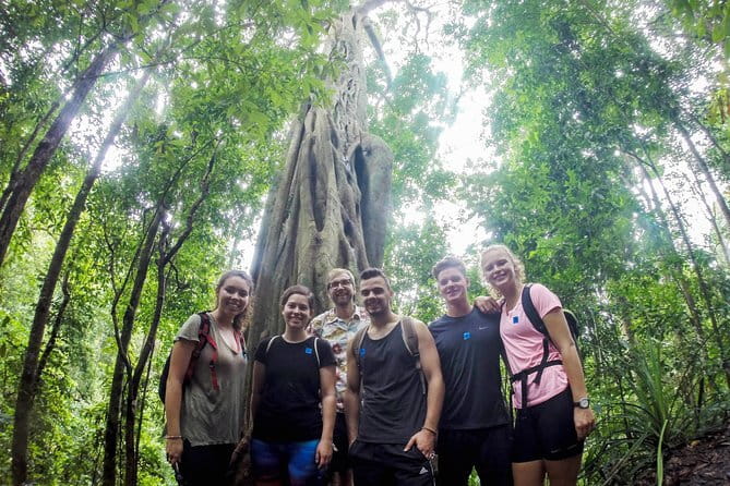 Chiang Mai: Inthanon, Elephant Sanctuary Observation & Waterfall - Ban Mae Klang Luang: Karen village culture and forest living