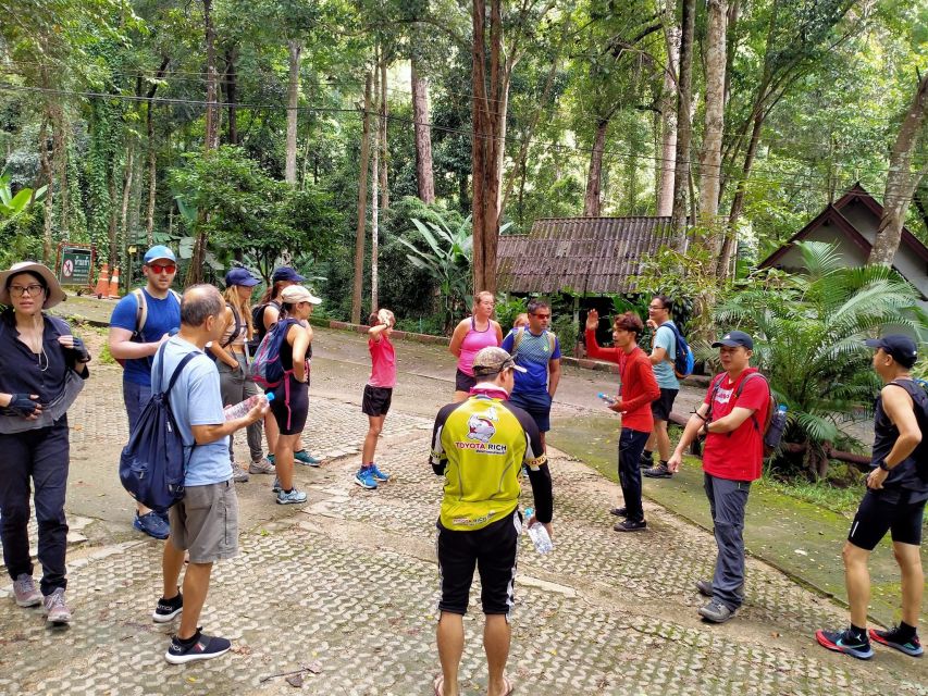 Chiang Mai: Suthep National Park Hiking & DH Mountain Biking - Chiang Mai Hike-and-Bike, in Six Hours (The Quick Pitch)