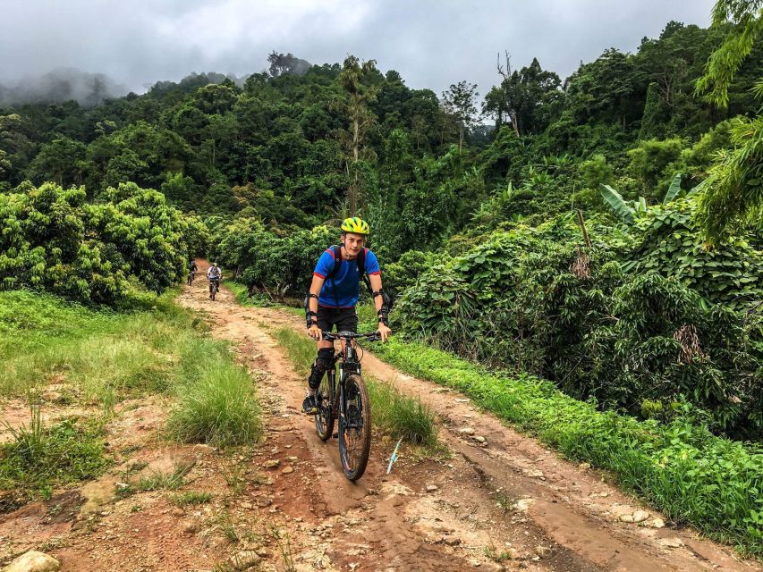 Chiang Mai: Suthep National Park Hiking & DH Mountain Biking - The Big Idea: Hike Up Doi Pui, Bike Down Toward Huay Tung Tao