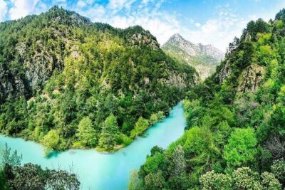 Chouwen Lake Hiking & Swimming - The Forest Hike to the Lake: Oak, Pine, and a Real Uphill Workout
