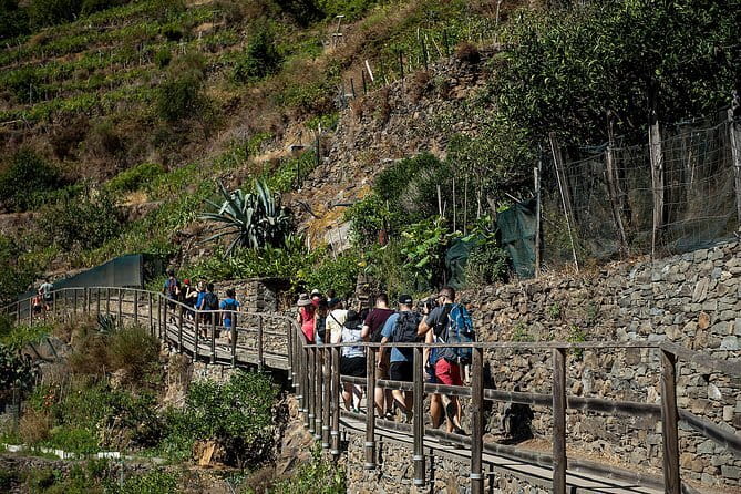 Cinque Terre Day Trip with Optional Hiking or Pisa - The Coach Ride Out: A Guide-Friendly Start (and a Sightseeing Warm-Up)