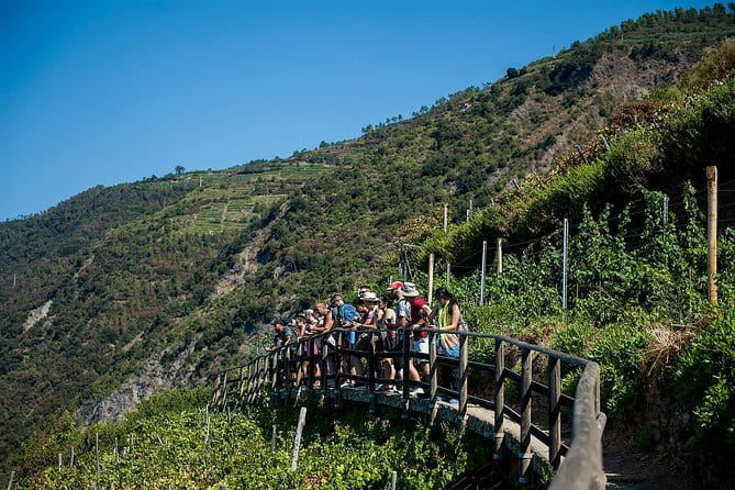 Cinque Terre Day Trip with Optional Hiking or Pisa - Manarola: Bridges, Vineyards, and the Panoramic Walk Above the Port