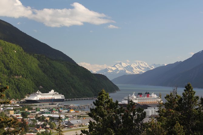 City and Mountain Summit Shore Excursion in Skagway - Key Points You’ll Care About Most