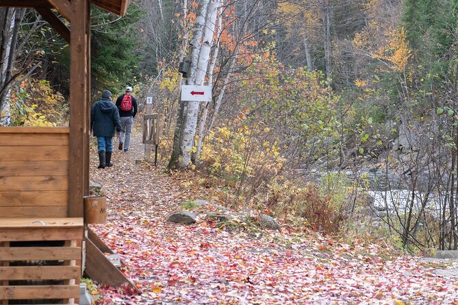 City tour and hiking to the Canyon and Waterfall in the Park - Stop 2: Quai Laurier-Simard for Fjord Views and White Geese