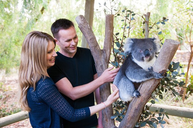 Cleland Wildlife Park Experience - from Adelaide including Mt Lofty Summit - Quick reasons you’ll care about this tour
