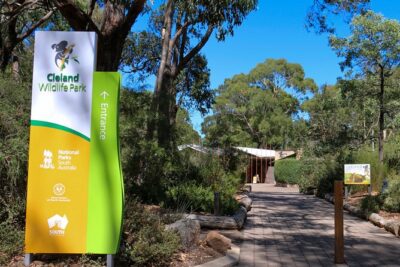 Cleland Wildlife Park Experience - from Adelaide including Mt Lofty Summit - Cleland Wildlife Park: open-space wildlife and staff-led moments