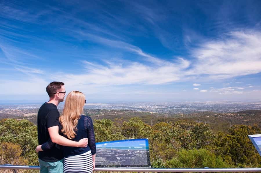 Cleland Wildlife Park Experience with Mount Lofty Summit - Hand-feeding kangaroos, wallabies, and potoroos the right way