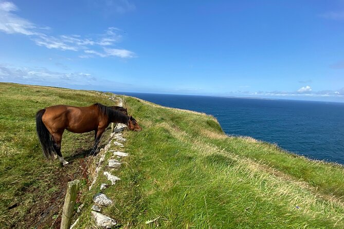 Cliffs of Moher Hiking Tour from Galway - Small Group - Cliffs of Moher on foot: why this small-group format works