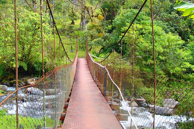 Cloud Forest Wildlife Hike 8:30am (Minimum of 2 people required ) - The 8:30am start and the air-conditioned ride that makes it easier