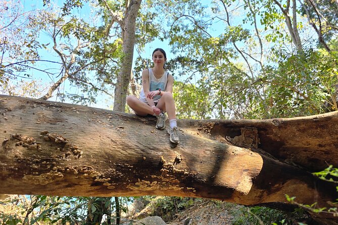 Coastal and Jungle Hiking Tour along 6 Beaches of Puerto Vallarta - Meet in the Zona Romántica, Then Head to Boca de Tomatlán