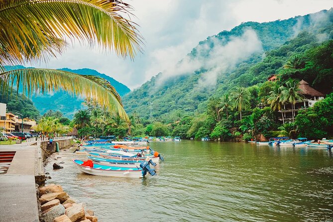 Coastal and Jungle Hiking Tour along 6 Beaches of Puerto Vallarta - Price and Value: Is $45 Worth It for 6 Beaches?