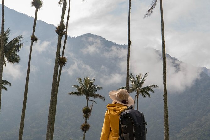 Cocora Valley and Salento Hike Tour - Cocora Valley and Salento: why this combo works so well