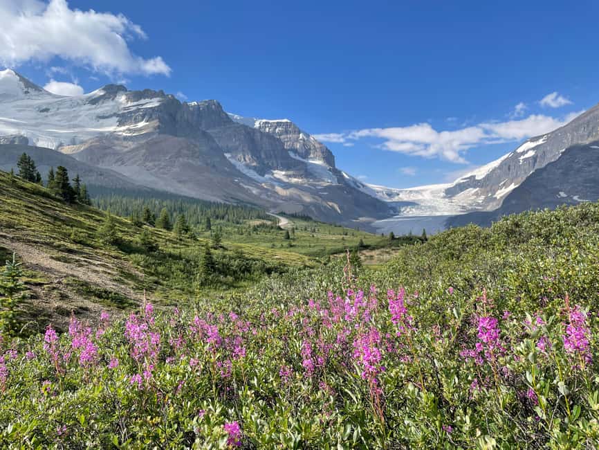 Columbia Icefield: Guided Glacier Hike - The Gear Setup That Makes the Ice Feel Manageable