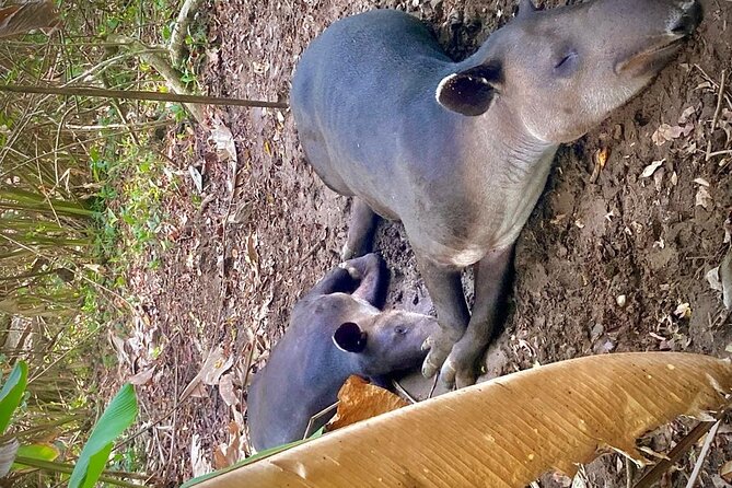 Corcovado National Park Hike - From Uvita - Packing and comfort tips that actually matter on this route