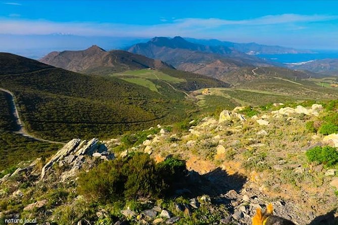 Costa Brava and Girona Small Group Easy Hike from Barcelona - Key Highlights You’ll Actually Feel During This Trip
