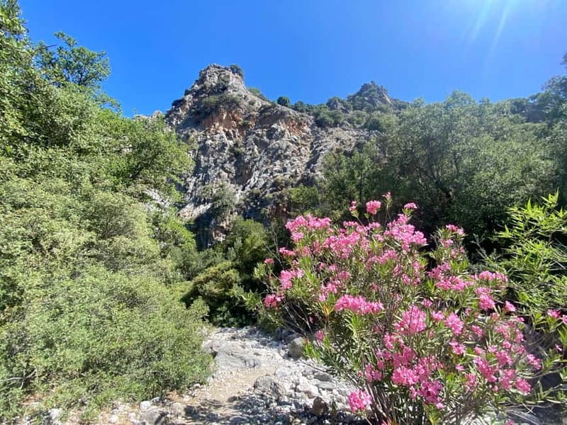 Crete: Kritsa Canyon Guided Hiking Tour - Key things to know before you hike Kritsa Canyon