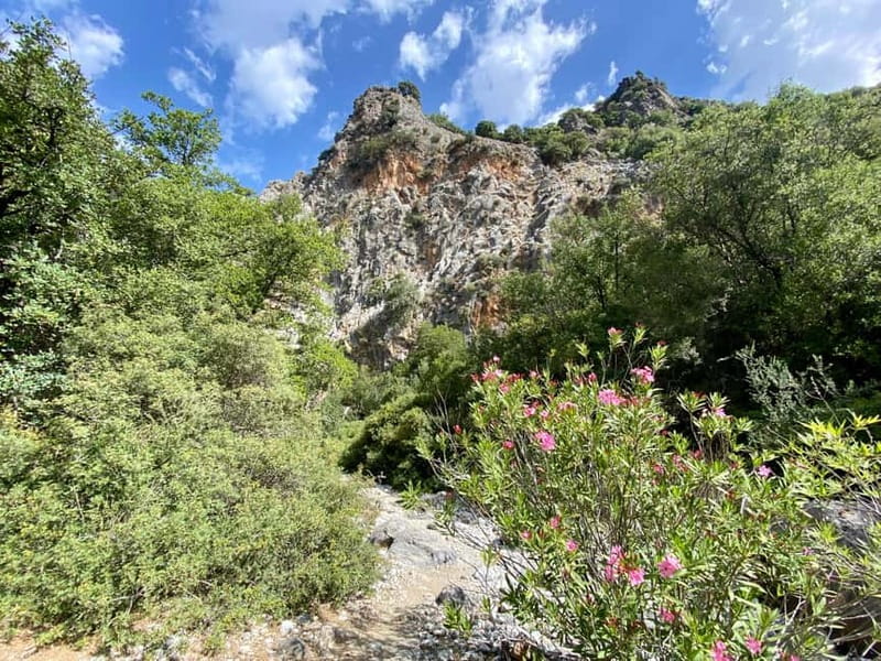 Crete: Kritsa Canyon Guided Hiking Tour - Who should book Kritsa Canyon and who should skip it